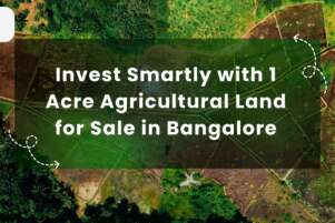 1 Acre Agricultural Land for Sale