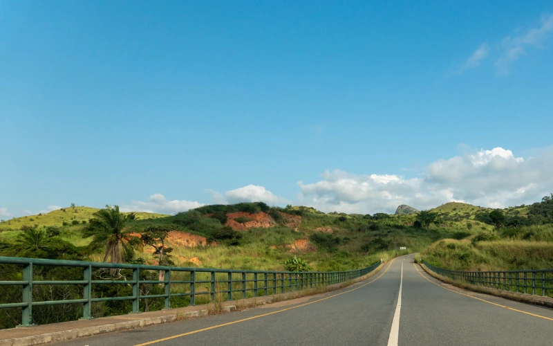 Farmland near Bannerghatta Road with greenery and open landscape
