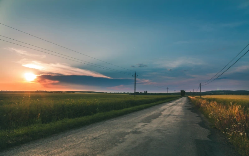 Farmland near Hoskote with greenery and open landscape