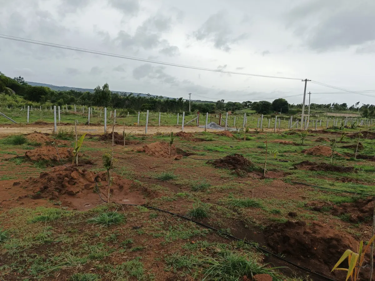 Agricultural land development and soil preparation at Misty Valley Farms farming life