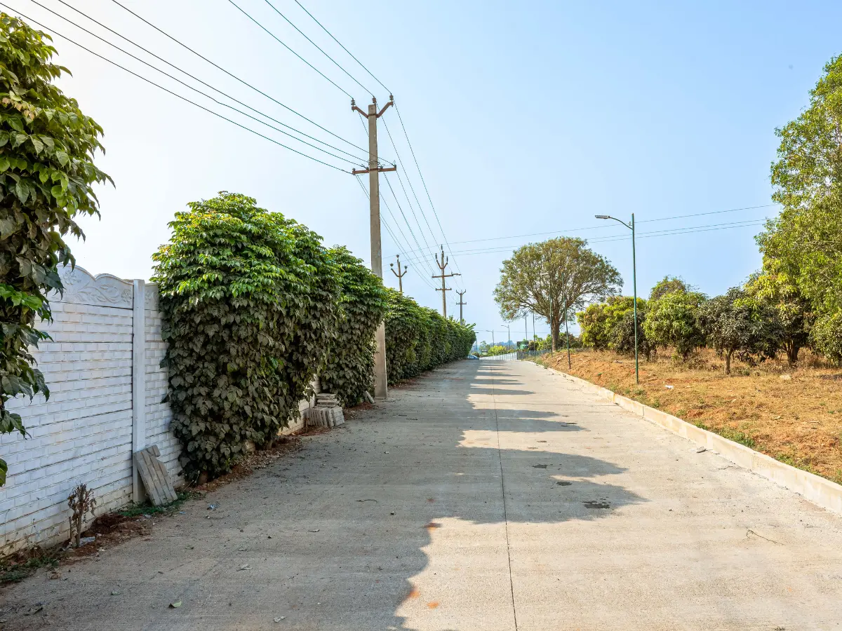 Concrete internal road with greenery at H2O Farms