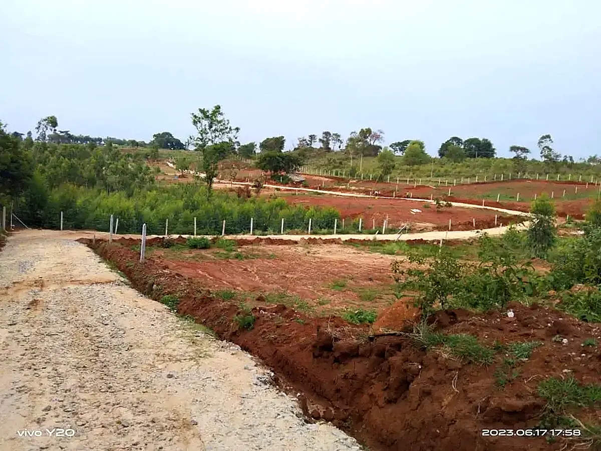 Internal road and farmland layout at Misty Valley Farms enhancing farm living experience