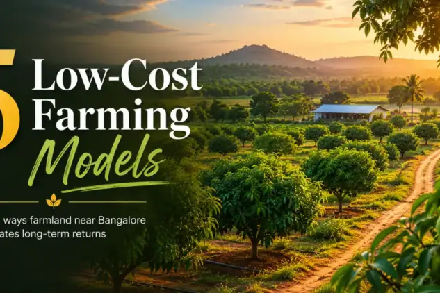 Low-cost farming models on managed farmland near Bangalore with mango orchard landscape at sunset
