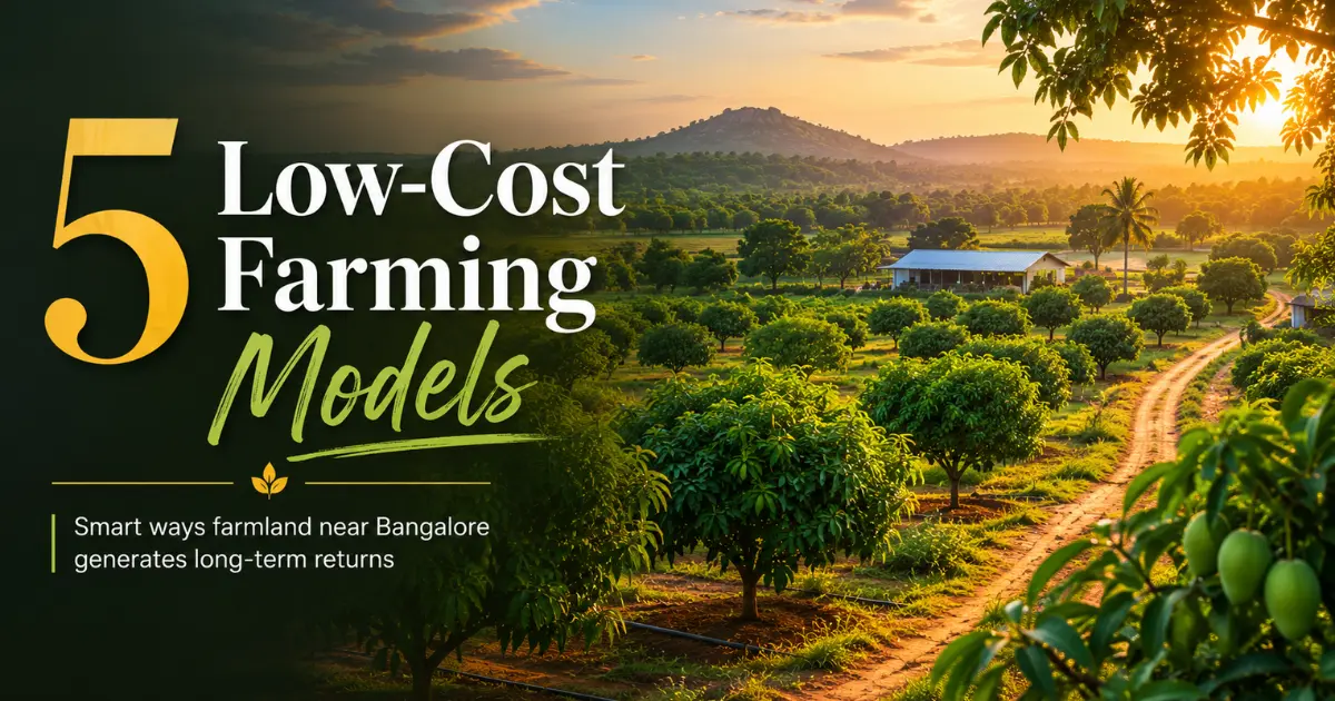 Low-cost farming models on managed farmland near Bangalore with mango orchard landscape at sunset